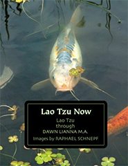 book - lao tzu now