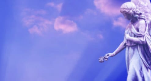 Meet Your Guardian Angels